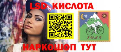 прущие грибы Апшеронск