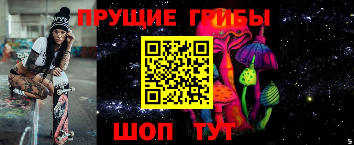 Ачхой-Мартан  Псилоцибиновые грибы мицелий  Вход с VPN 