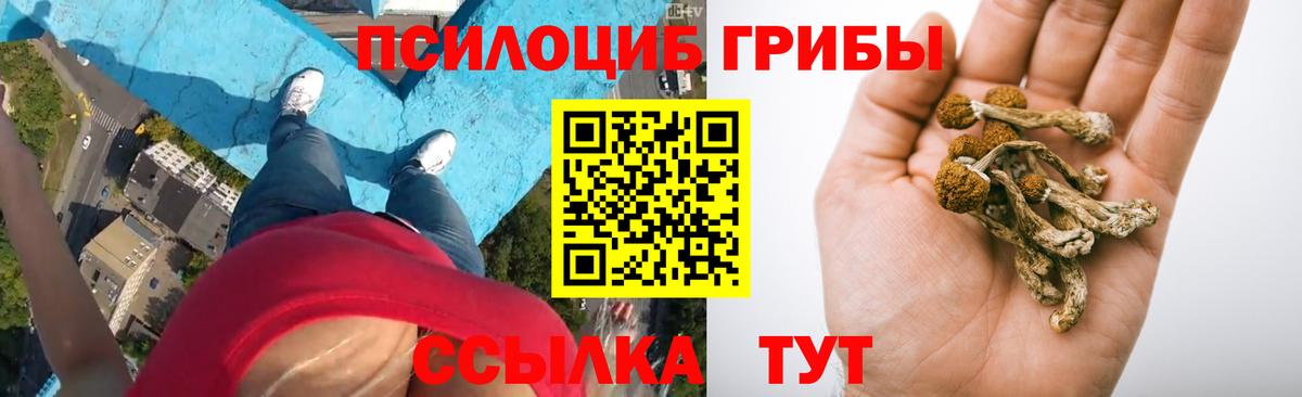 Псилоцибиновые грибы MAGIC MUSHROOMS Ачхой-Мартан